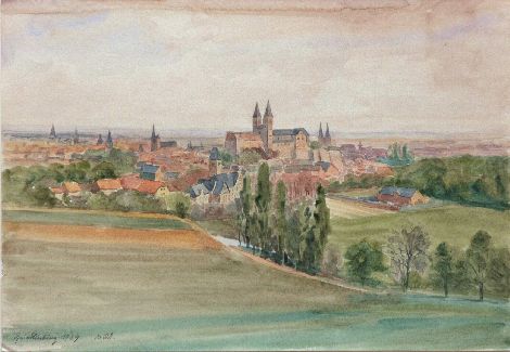 Blick auf Quedlinburg